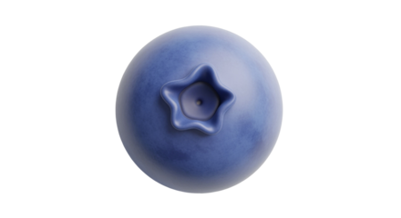 Blueberry with star-shaped calyx isolated on Transparent Background