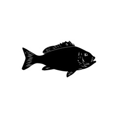 black and white tilapia vector icon