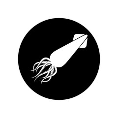 Squid Vector Icons on black background