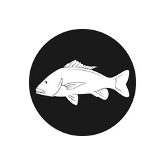 sea fish vectors design black circle background