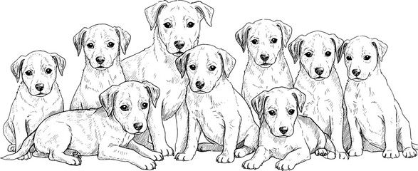 Charming group of playful puppies sketched together, ideal for animal lovers and pet adoption campaigns