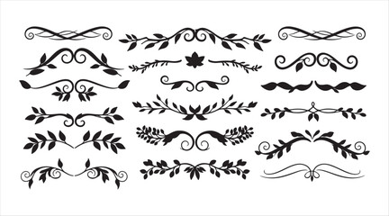 A set of hand-drawn floral ornament dividers. Featuring leaves, twigs, plants, and branches. A collection of botanical scroll decorations and decorative branches.