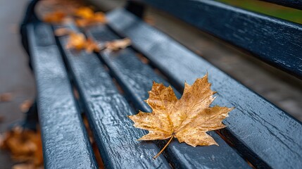 A solitary autumn leaf rests on a park bench.