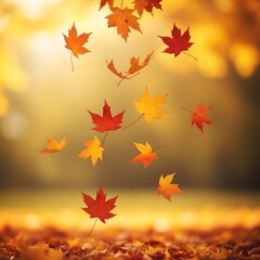 Falling Autumn Maple Leaves in Warm Golden Light