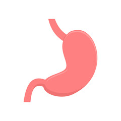 stomach. internal organs. anatomy. health theme. digestive system. vector illustration