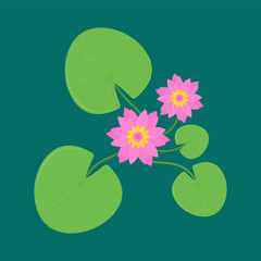 lotus. aquatic plant. pond decoration. pink flower. vector illustration.