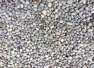 寺の境内の庭に敷かれた玉石