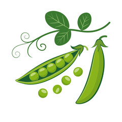 Fresh Green Peas in Pods with Vine and Leaves Illustration for Healthy Eating and Vegetarian Food Concepts © SHOHRAB HOSSAIN