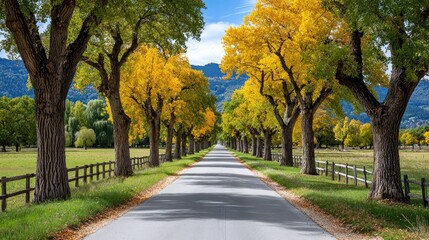 Empty country road leading through golden autumn trees