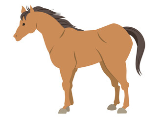 立っている馬のイラスト