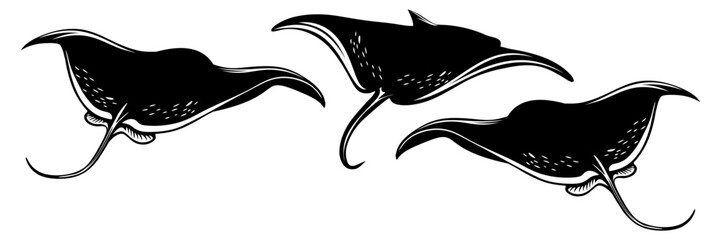 silhouette illustration of a manta ray