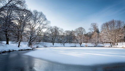 Obraz premium frozen winter lake covered in smooth ice surrounded by snow and leafless trees in a serene park landscape perfect natural scene for seasonal background outdoor skating or cold weather themes