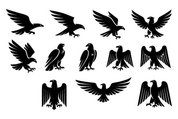 Black hawk and eagle silhouettes with perched and flying poses, Transparent Background