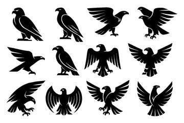 Black hawk and eagle silhouettes with perched and flying poses, Transparent Background