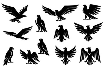 Black hawk and eagle silhouettes with perched and flying poses, Transparent Background