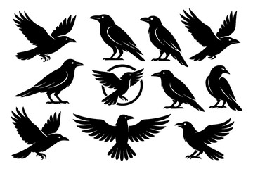 Black raven silhouettes in standing and flying positions, Transparent Background