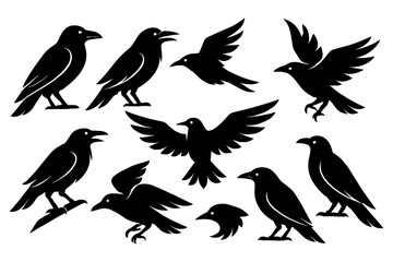 Black raven silhouettes in standing and flying positions, Transparent Background