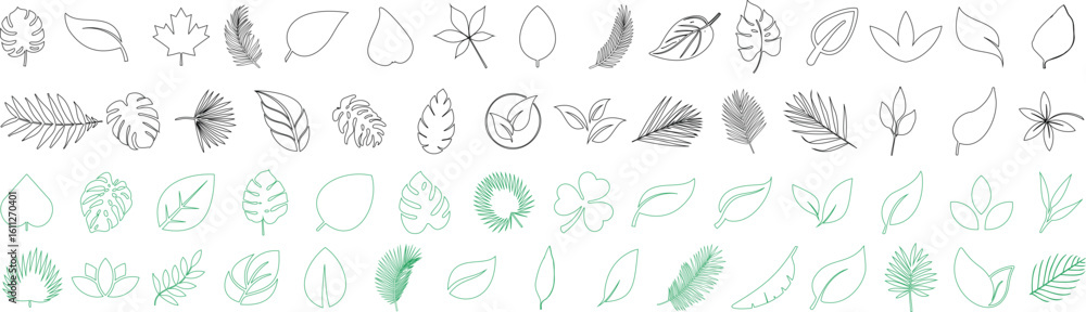 Wall mural leaf icon collection in hand drawn and minimal style. essential botanical vector set includes tropic