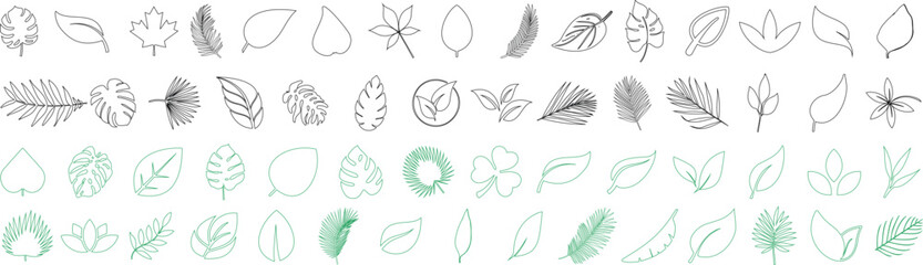 Leaf icon collection in hand drawn and minimal style. essential botanical vector set includes tropical, maple, palm, and feather leaves, perfect for eco, organic, and nature theme designs