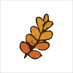 Art & Illustration autumn icon 69