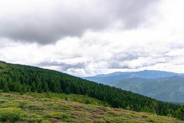 mountain landscape with green summer forest on downhill and clouds on sky 