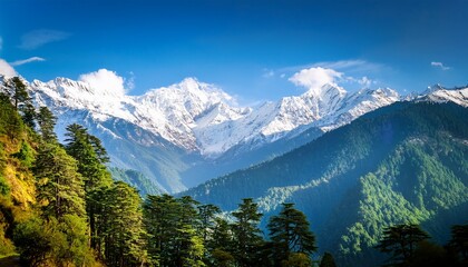 snow capped mountains with green trees under a bright sky near nainital
