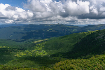 Obraz premium very green pine trees forest landscape with mountains and gray cloudy sky