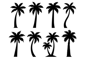 palm tree silhouette