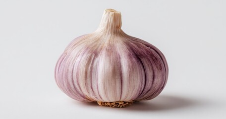 A single bulb of fresh garlic with a purple hue sits against a neutral backdrop, showcasing its natural texture and form.