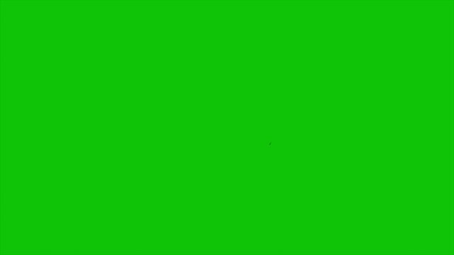 Image Placeholder Icon Animation | Loading Image Symbol on Green Background