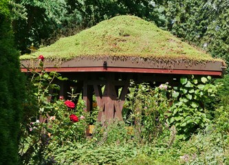 Moos auf Dach Holzpavillon Botanischer Garten Hamburg