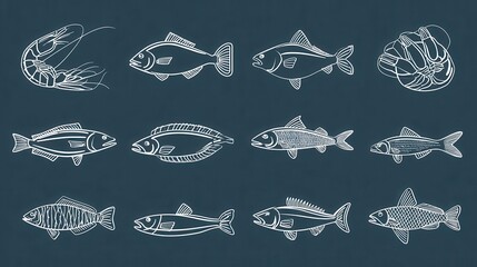 Collection of outlined fish and shellfish.