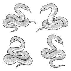 Obraz premium Set of Snake Sketches: Black and White Hand-Drawn Illustrations of Snakes on Transparent Background