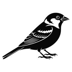 Black and white illustration of a small bird standing on its legs