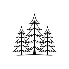 Fototapeta premium Three hand drawn evergreen trees in a simple line art style