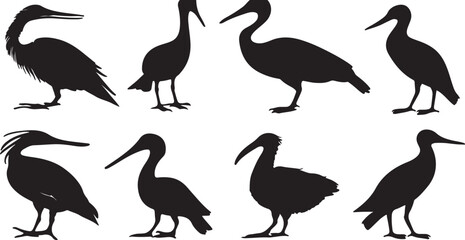 Silhouette Vector Art of Heron, Ibis, and Cormorant Bird Species