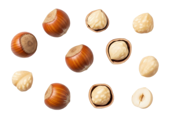 Multiple whole, blanched, and partially peeled hazelnuts scattered on pristine transparent background with copy space, soft studio light, top-down flat lay, photorealistic, concept of natural food