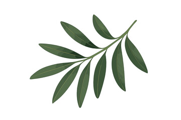 Realistic olive branch with green leaves. Vector illustration of a botanical plant sprig. Isolated natural organic foliage for decoration. Symbol of peace, healthy food.