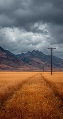Golden field path leads to mountains under stormy sky