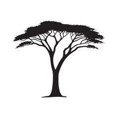 Obraz premium Acacia Tree silhouette, Acacia Tree vector illustration, Silhouette of an Acacia Tree, acacia tree illustration, silhouette of a tree isolated on white background