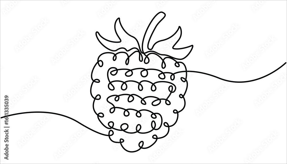 Poster raspberry one line drawing. continuous outline of raspberry fruit. vector illustration healthy food 