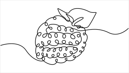 Raspberry one line drawing. Continuous outline of Raspberry fruit. Vector illustration healthy food concept, One continuous line drawing of raspberry with lettering. Raspberry berry fruit. 