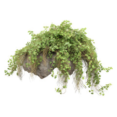 Floating Island with Cascading Green Vines and Roots