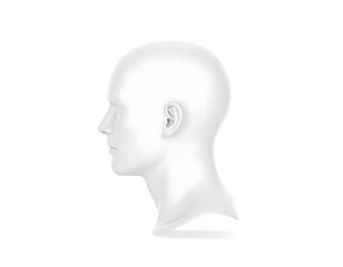 3/4 Profile of a generic head