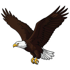 Fototapeta premium Majestic Bald Eagle in Flight