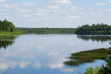 A beautiful summer landscape on a river in summer.