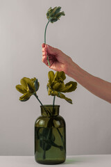 flower in a vase