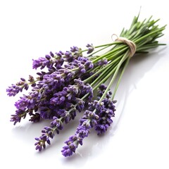 Fototapeta premium A bunch of fresh lavender flowers tied with twine on a white background