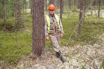 A forest engineer conducts tree research in the forest.