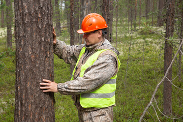 A forest engineer conducts tree research in the forest.